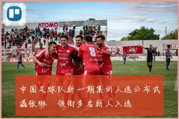 中国足球队新一期集训人选公布武磊张琳芃领衔多名新人入选